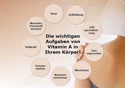 Sunny Ermäßigte Mehrwertsteuer Dr. Peter Hartig