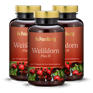 Weißdorn Plus 15 - 3er Pack