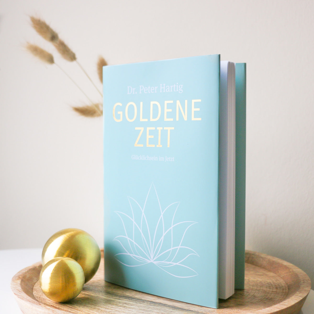 Buch: "Goldene Zeit" Ermäßigte Mehrwertsteuer Dr. Peter Hartig