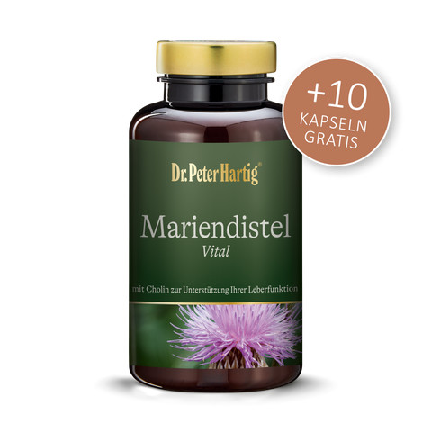 Mariendistel Vital Ermäßigte Mehrwertsteuer Dr. Peter Hartig 120 + 10 Kapseln