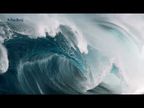 Magnesium Mare® Ermäßigte Mehrwertsteuer Dr. Peter Hartig
