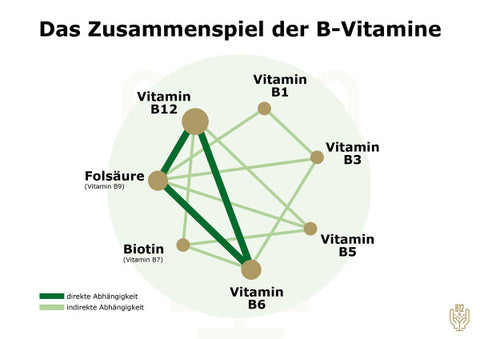 Vitamin B Komplex